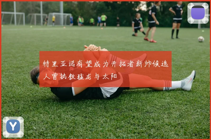 特里亚诺有望成为开拓者新帅候选人曾执教猛龙与太阳